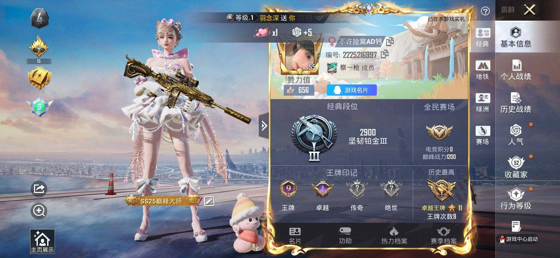 HPQM418965和平精英账号详情图3