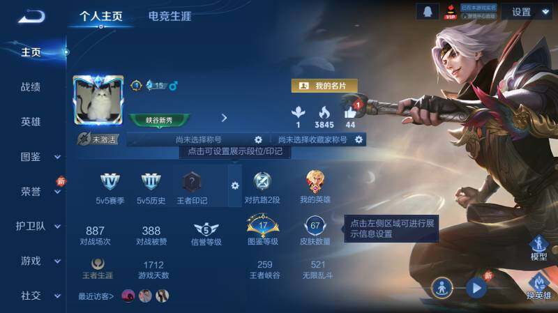 WZ03437992王者荣耀账号详情图5 WZ03437992王者荣耀账号详情图5