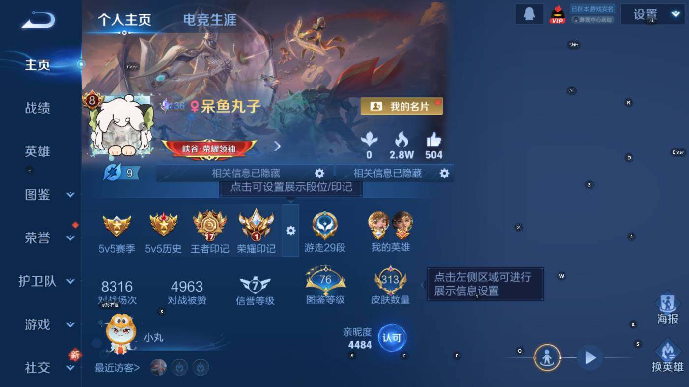 WZCMW436892王者荣耀账号详情图10