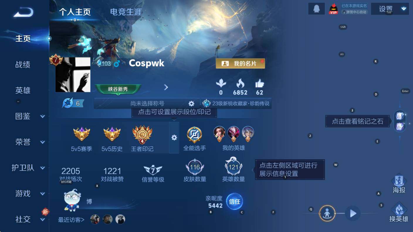 WZCMW436900王者荣耀账号详情图7