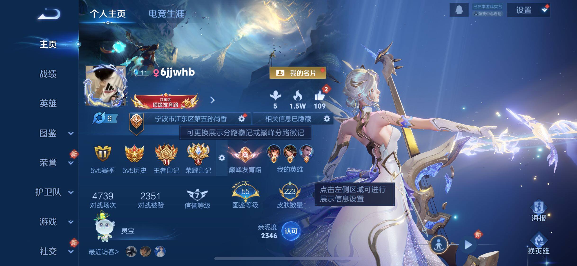 WZQM453911王者荣耀账号详情图7