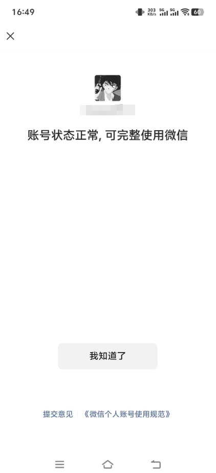 WZCMW438573王者荣耀账号详情图19