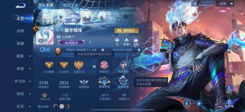 WZCMW438048王者荣耀账号详情图13