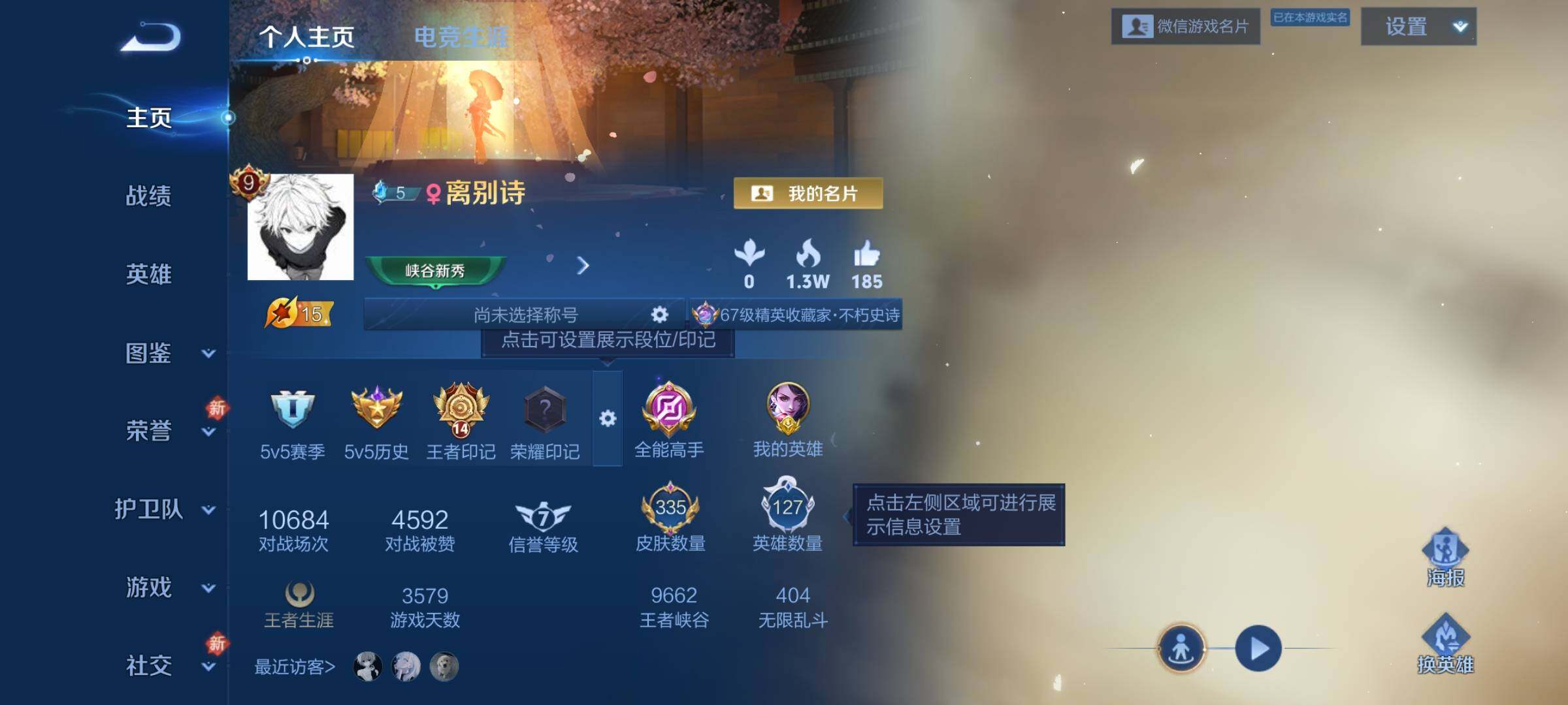 WZKG454465王者荣耀账号详情图12