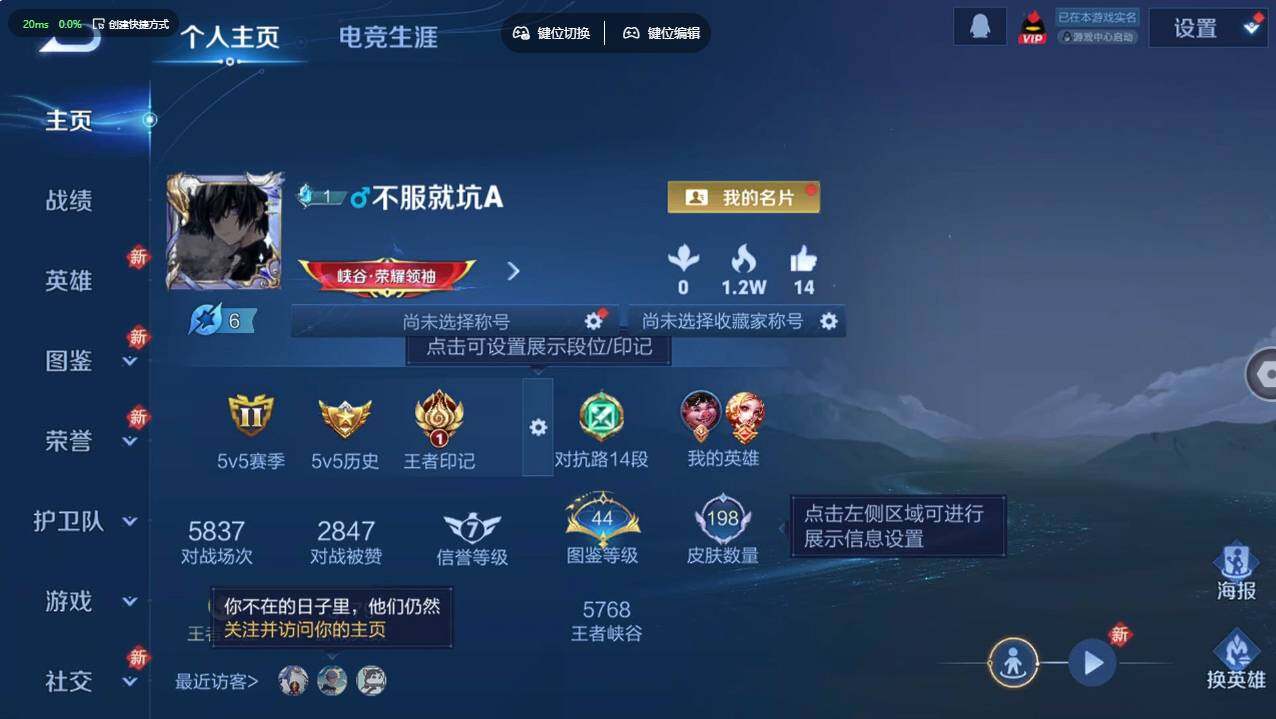 WZCMW495645王者荣耀账号详情图8