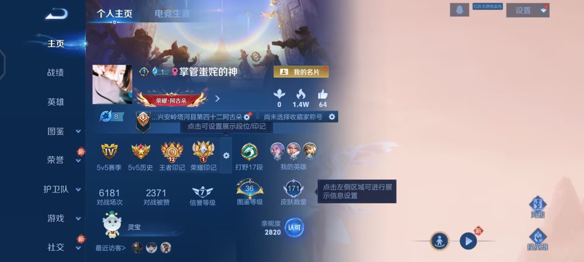 WZQM443845王者荣耀账号详情图3