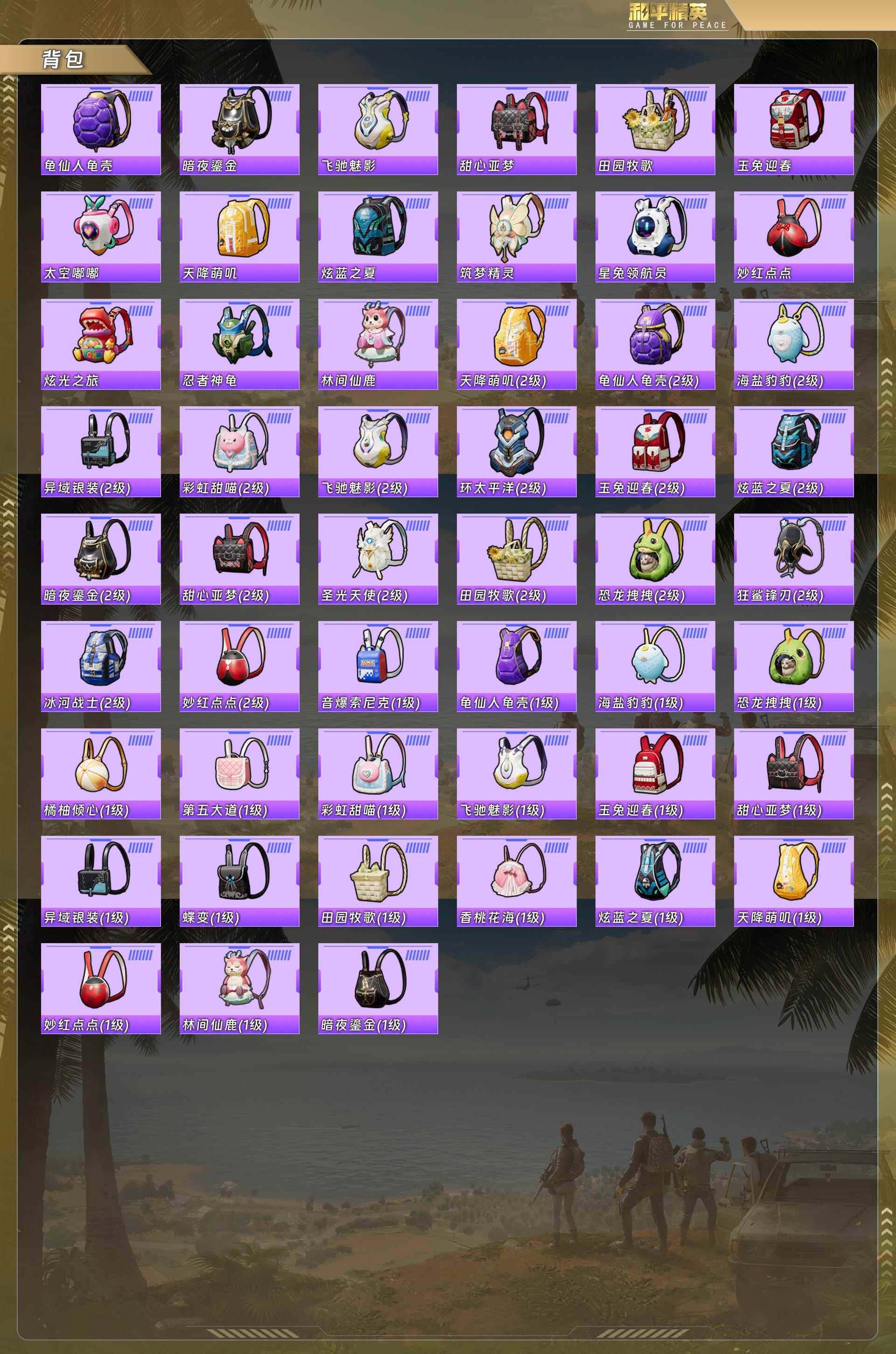 HPQM478307和平精英账号详情图10