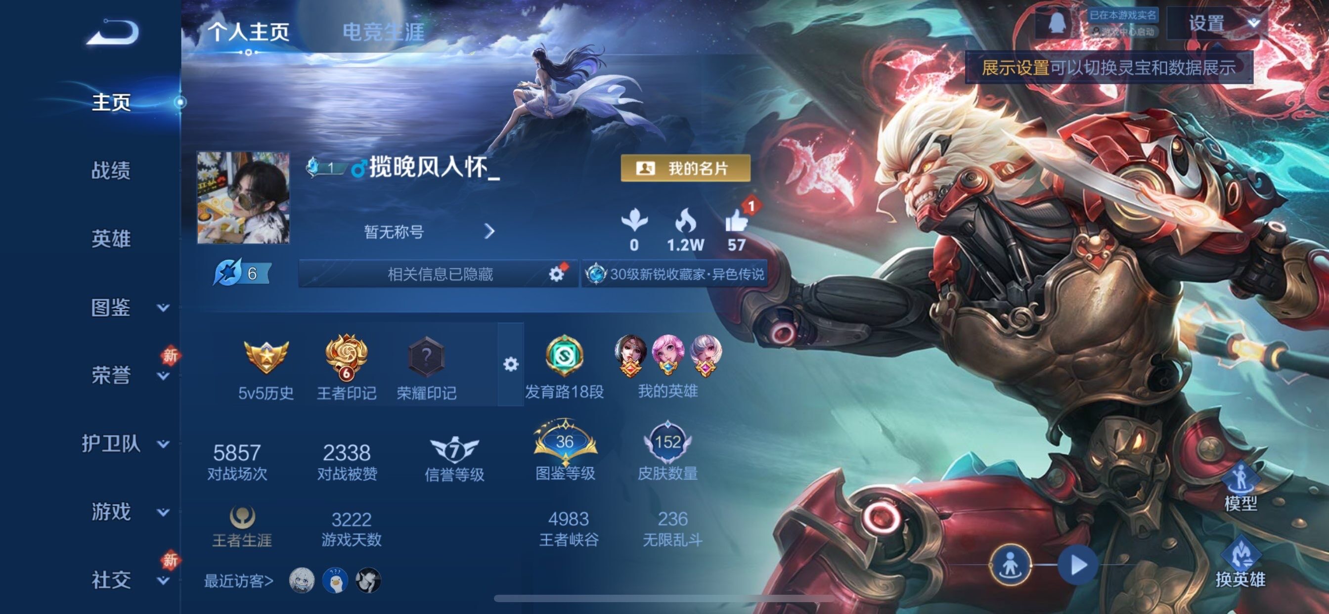 WZCMY446036王者荣耀账号详情图2