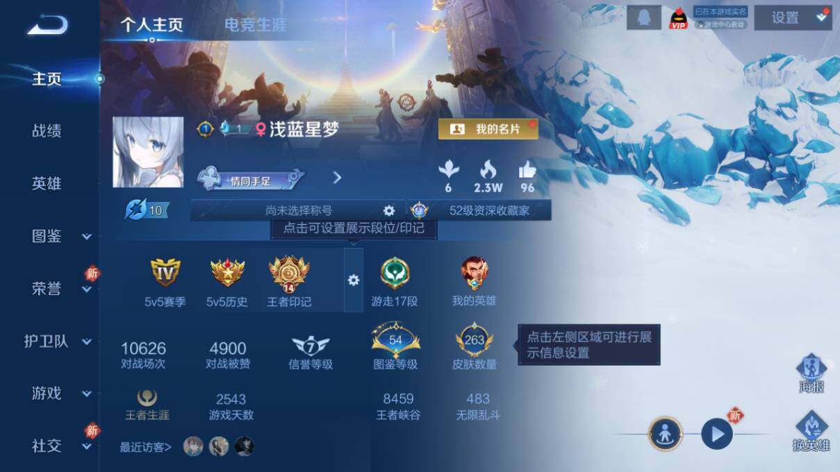 WZLX463082王者荣耀账号详情图6