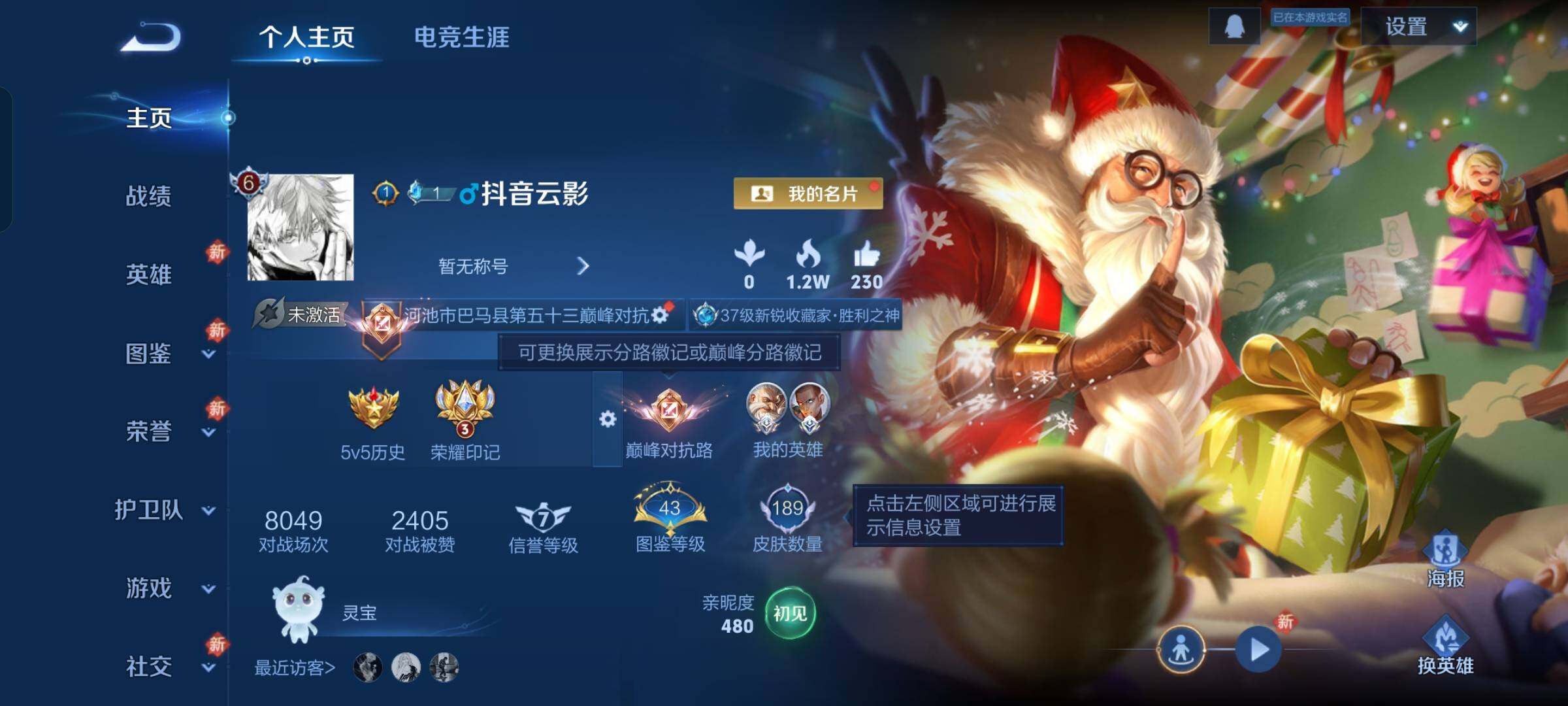 WZKG448887王者荣耀账号详情图12