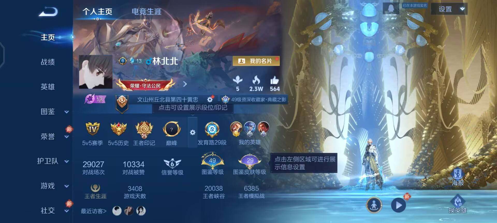 WZQM4125198王者荣耀账号详情图3