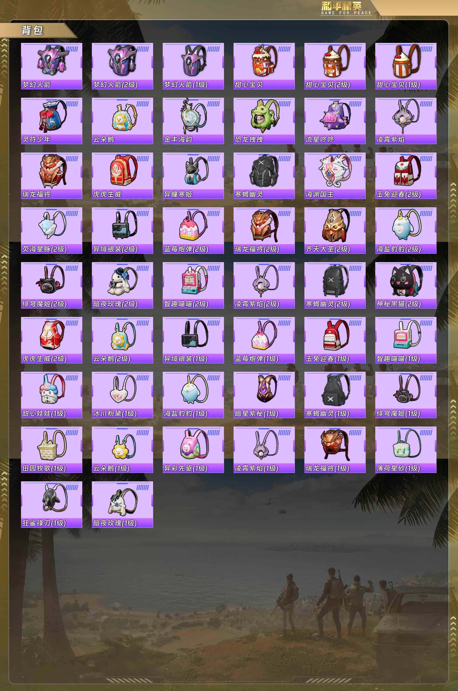 HPQM478300和平精英账号详情图11