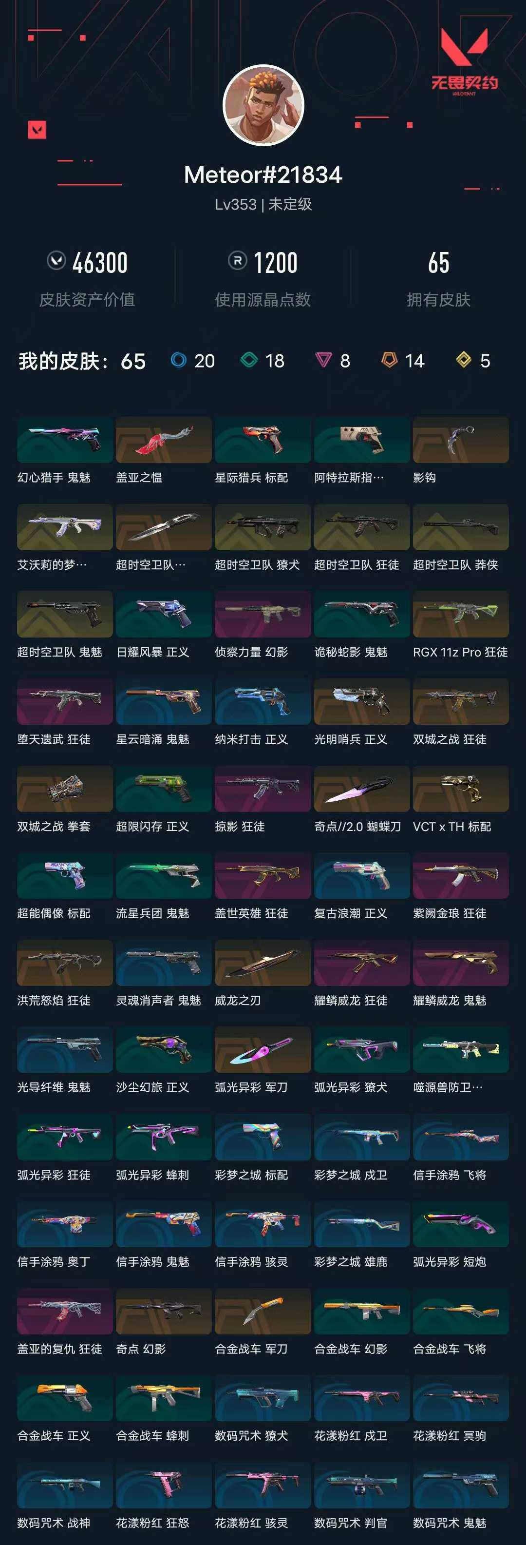 WWQXL43499无畏契约账号详情图5