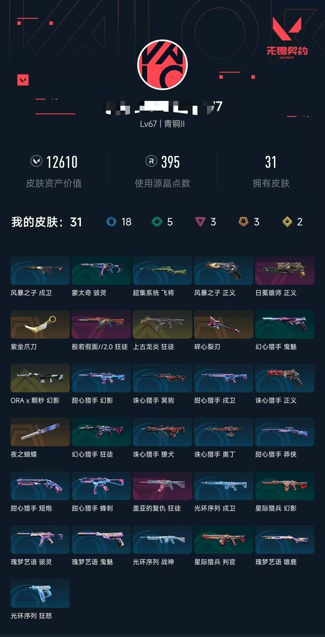 WWQQM43702无畏契约账号详情图11