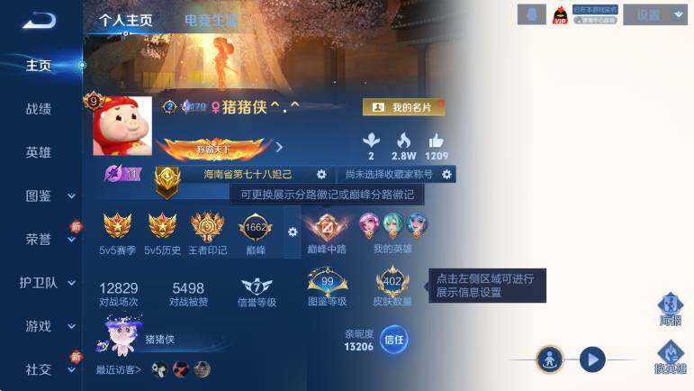 WZCMW439246王者荣耀账号详情图9