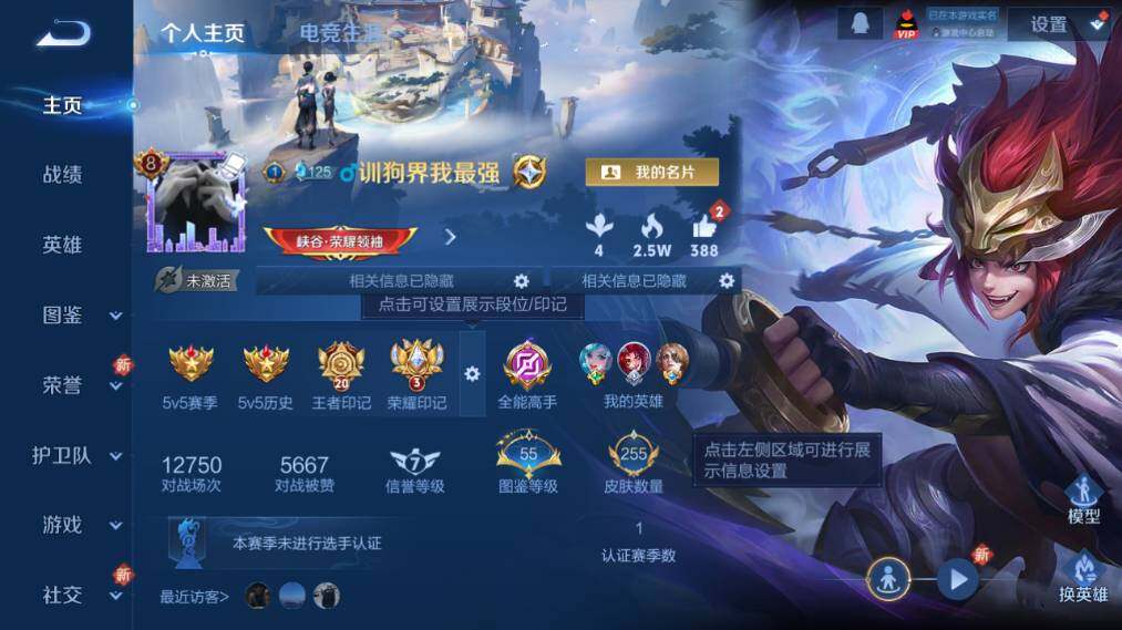 WZ03444535王者荣耀账号详情图9