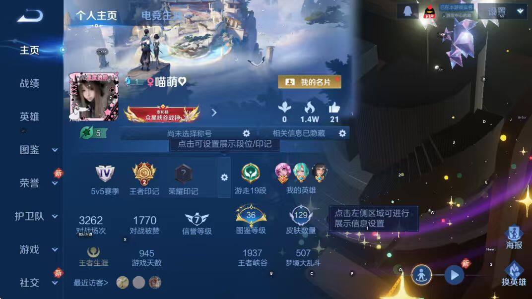 WZCMW441190王者荣耀账号详情图14