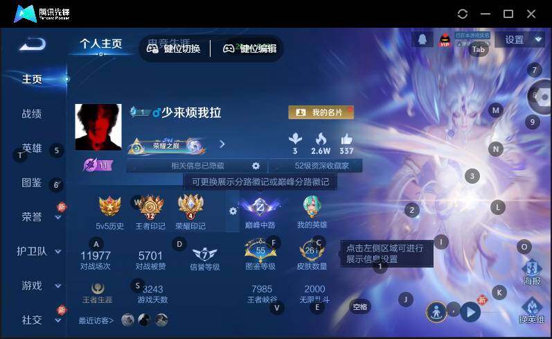 WZLX463296王者荣耀账号详情图6