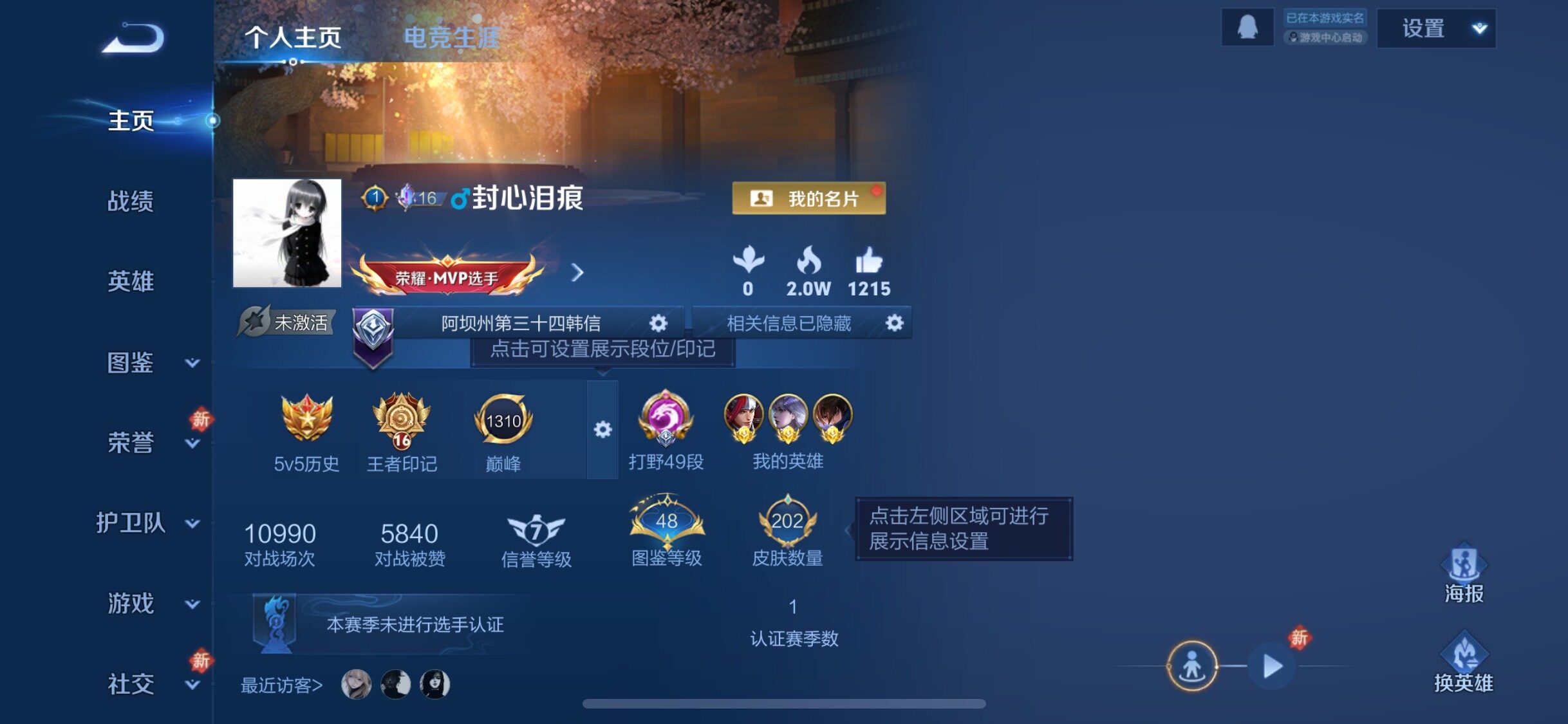 WZJZ463317王者荣耀账号详情图5