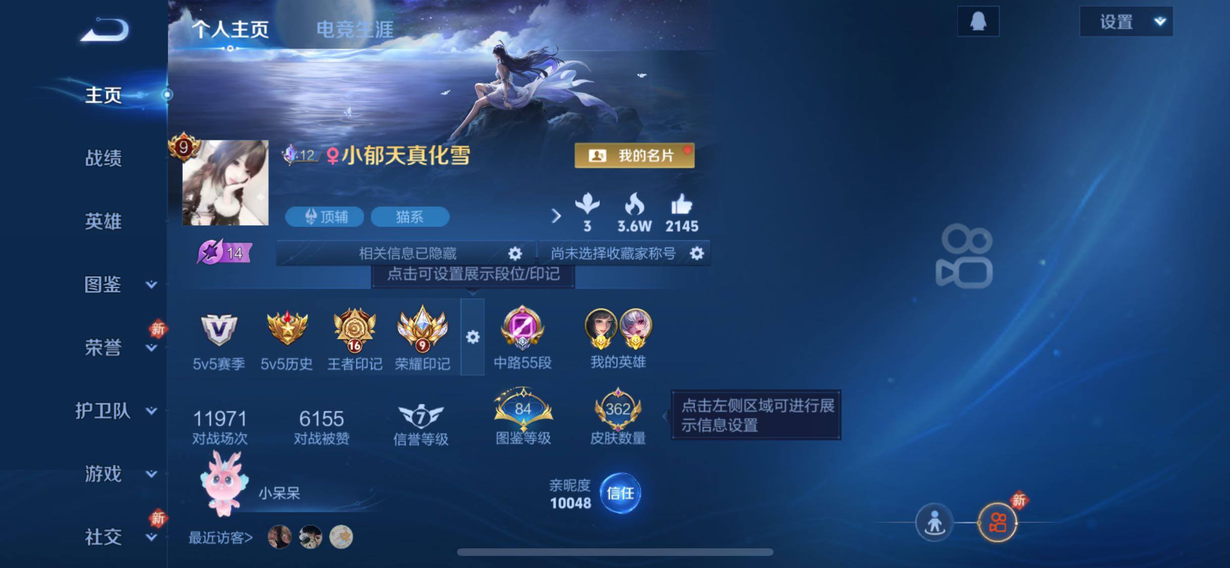 WZJZ456610王者荣耀账号详情图8