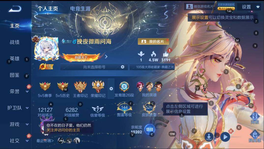 WZQYYX443237王者荣耀账号详情图11