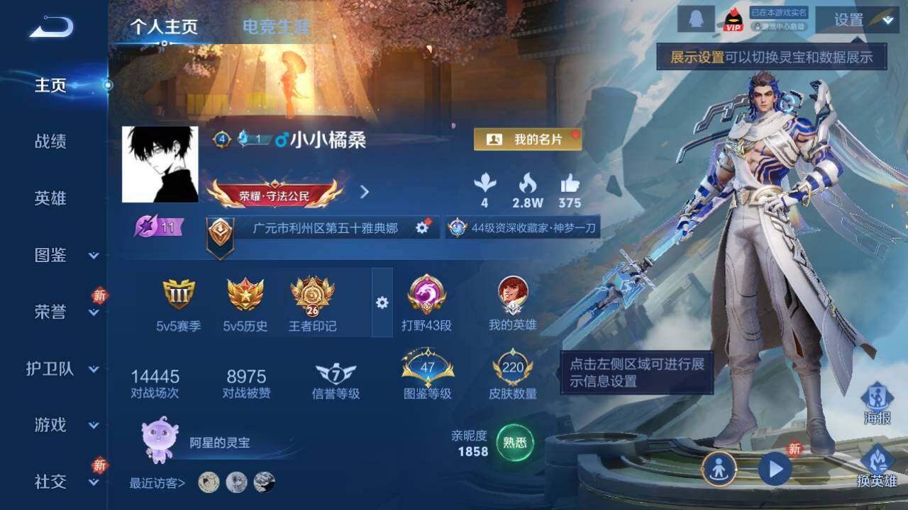 WZ03466228王者荣耀账号详情图3