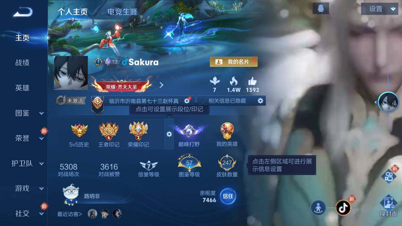 WZ03444446王者荣耀账号详情图3