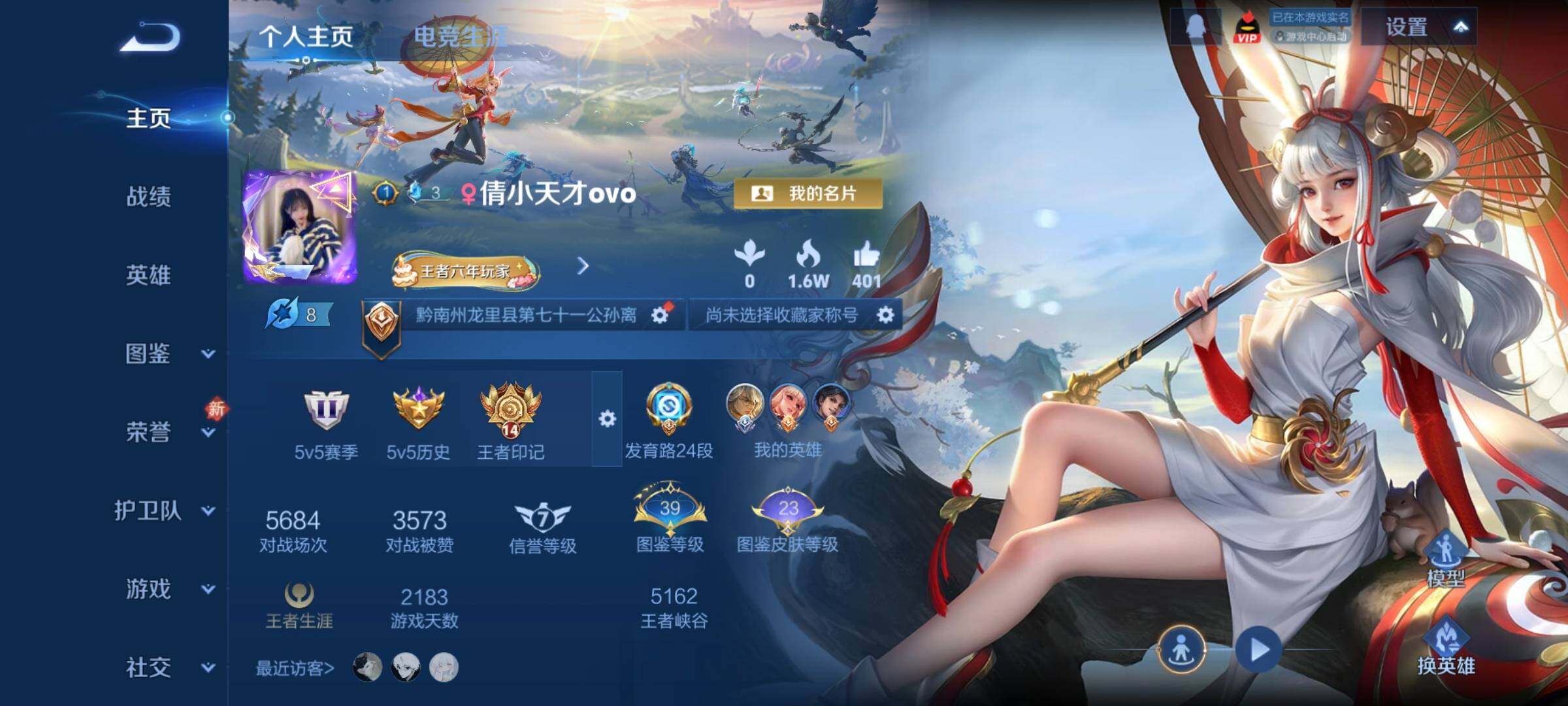 WZCMW446563王者荣耀账号详情图2