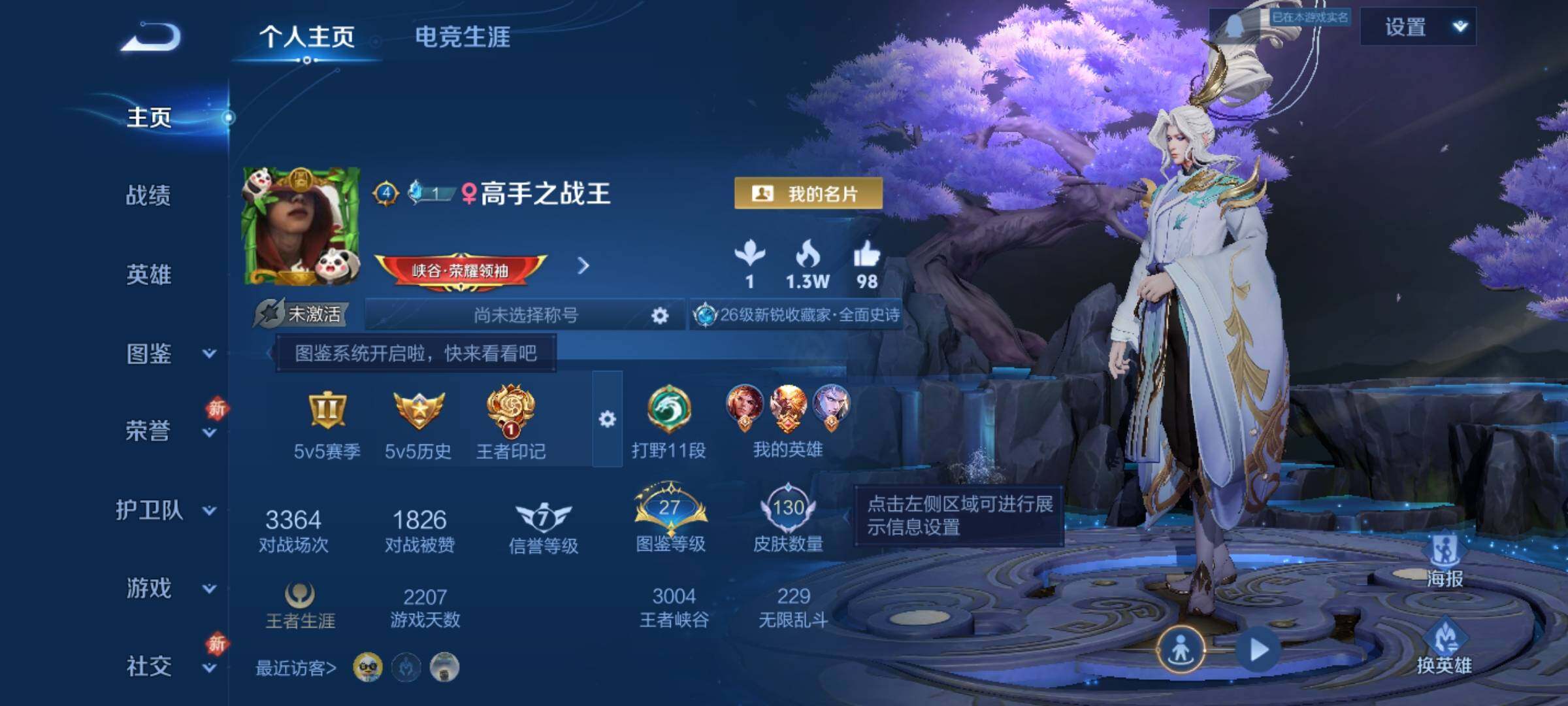 WZKG448915王者荣耀账号详情图8