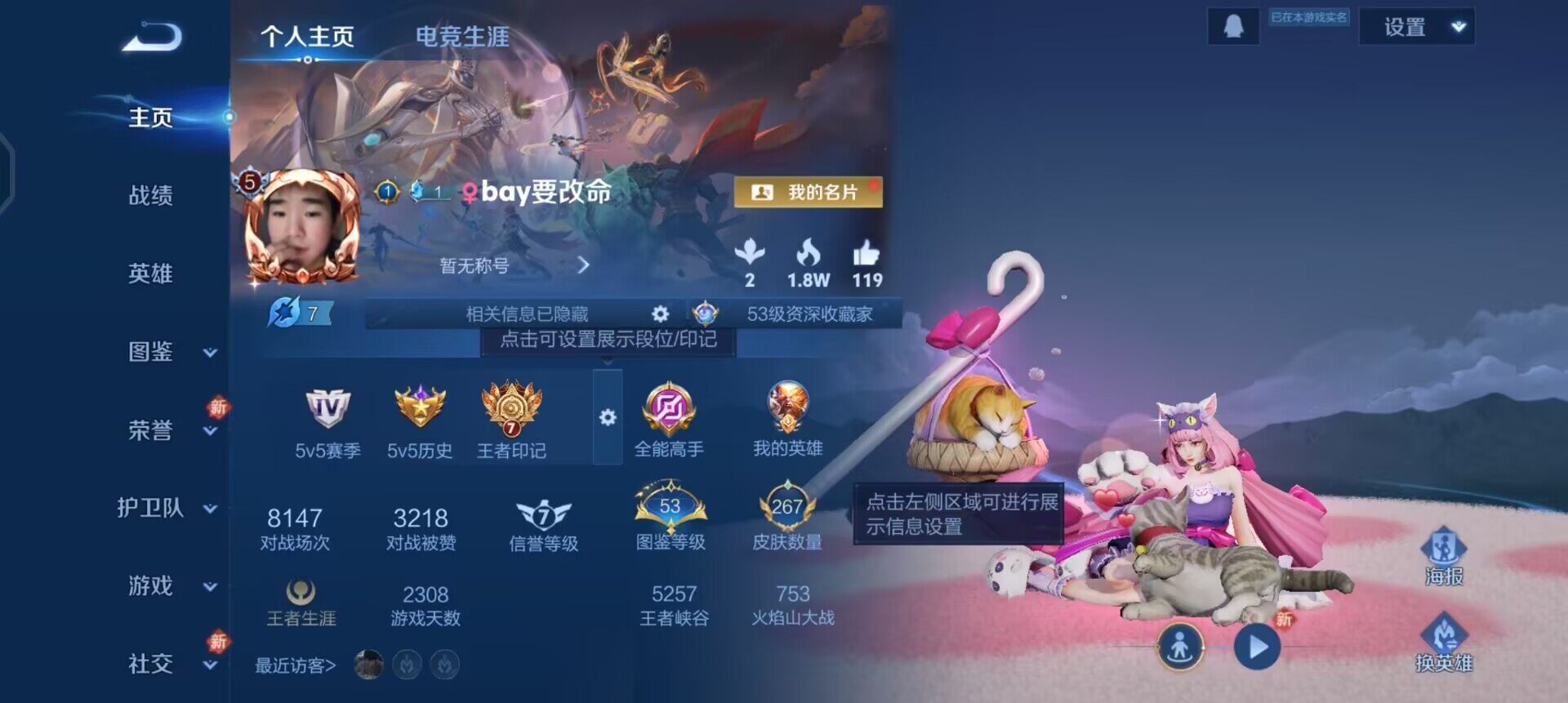 WZQM458697王者荣耀账号详情图3