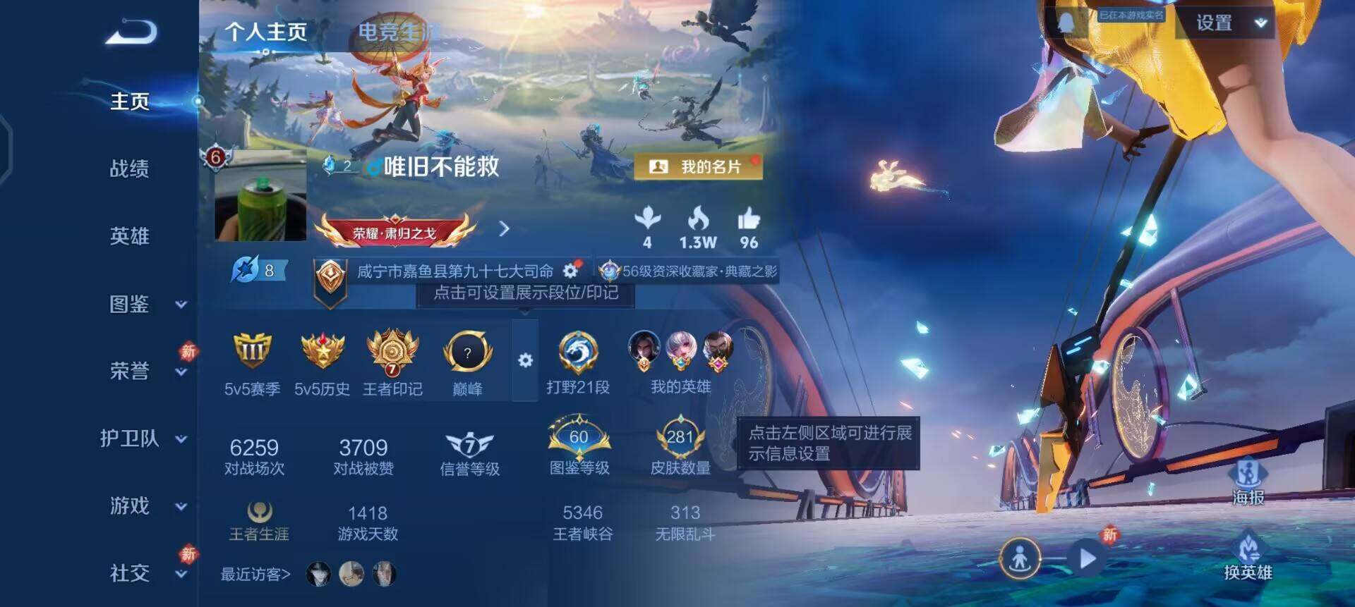 WZQM447687王者荣耀账号详情图3