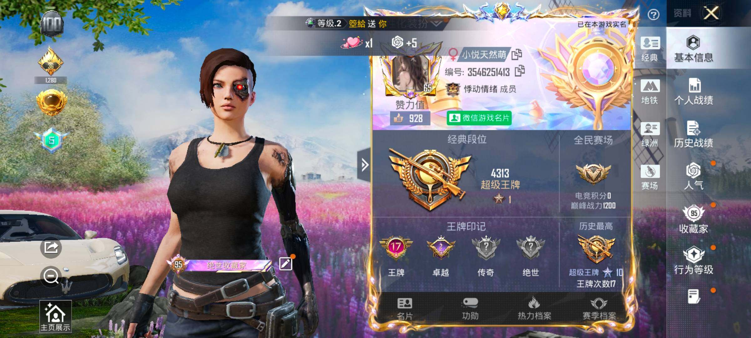 HPCMW466819和平精英账号详情图2