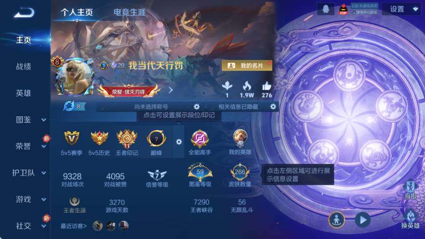 WZ03447980王者荣耀账号详情图9