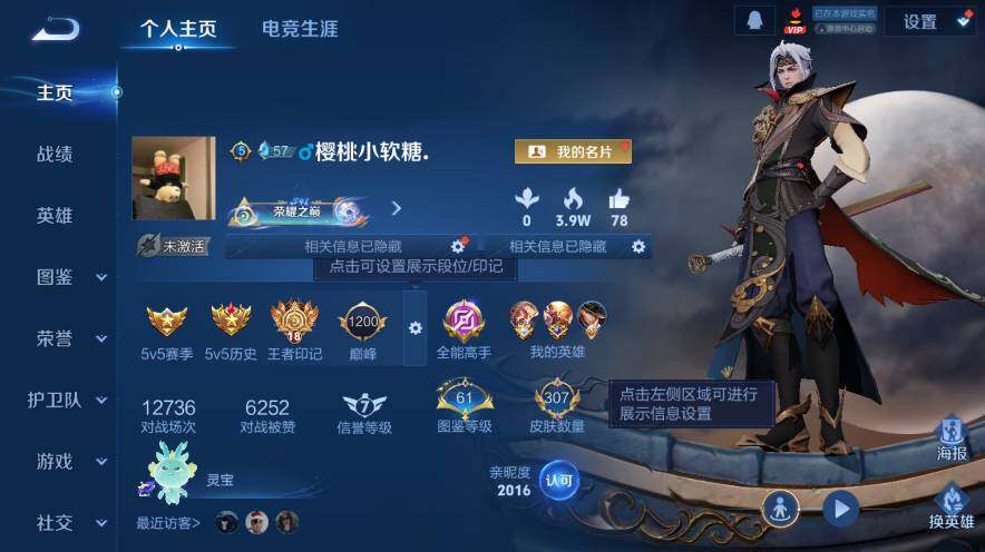 WZ03448051王者荣耀账号详情图8