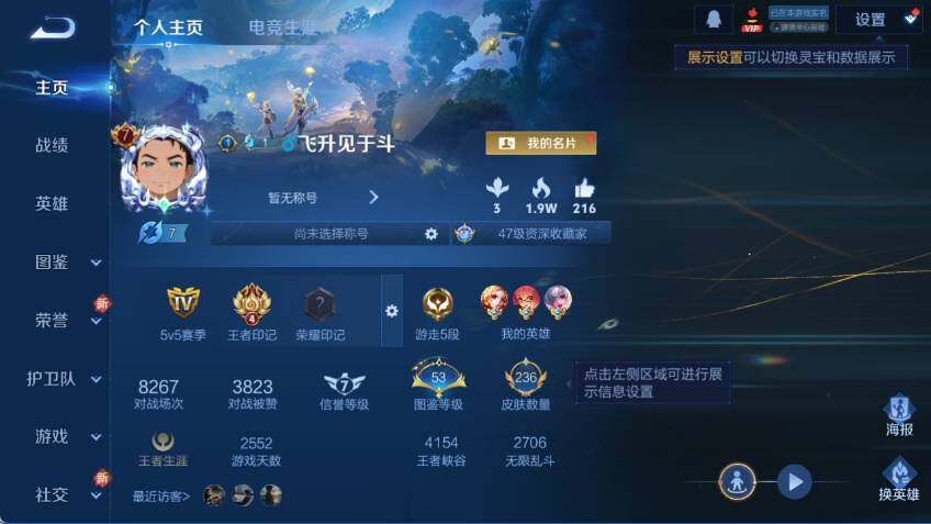 WZLX463630王者荣耀账号详情图6