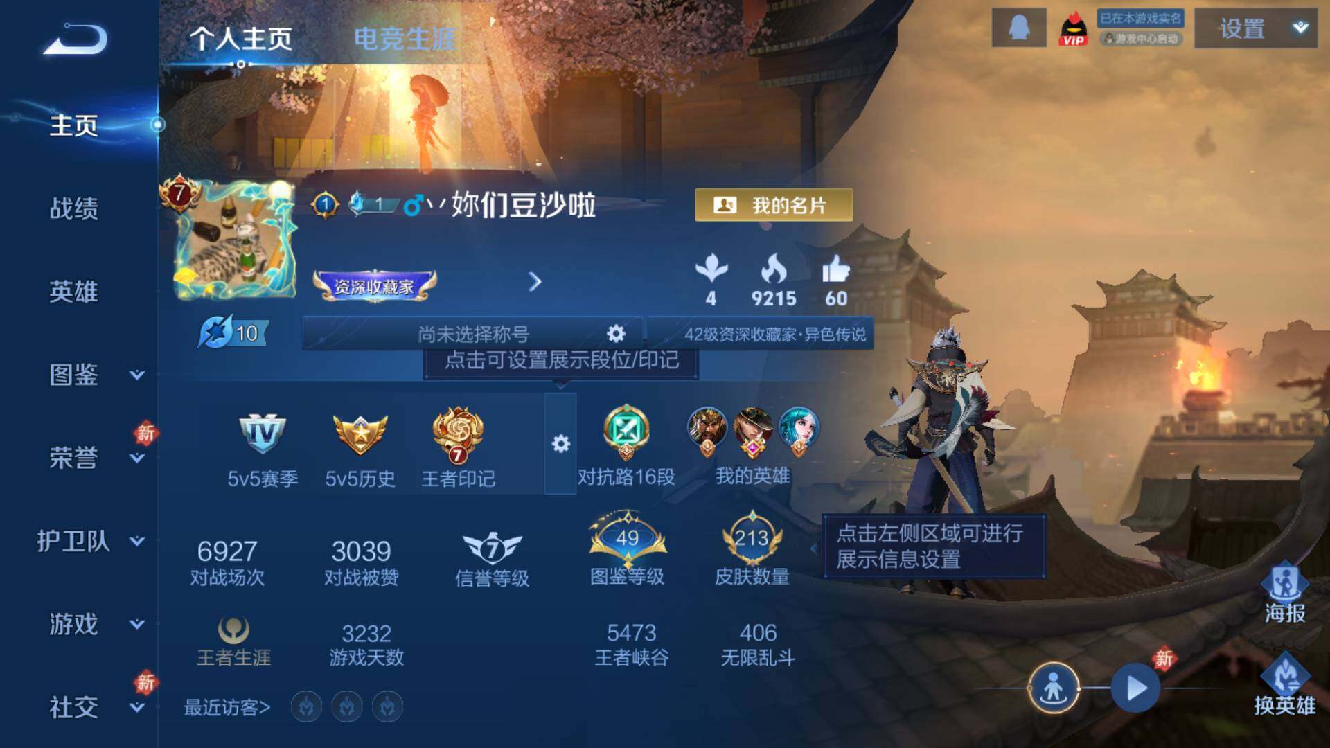 WZLFY446404王者荣耀账号详情图6