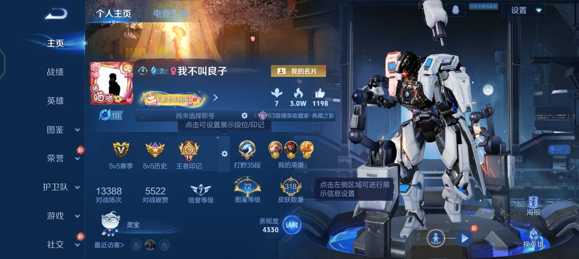 WZQM490395王者荣耀账号详情图3