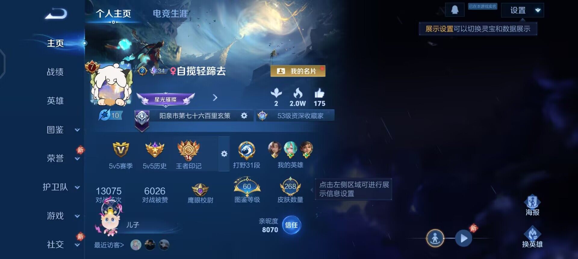 WZQM457695王者荣耀账号详情图3