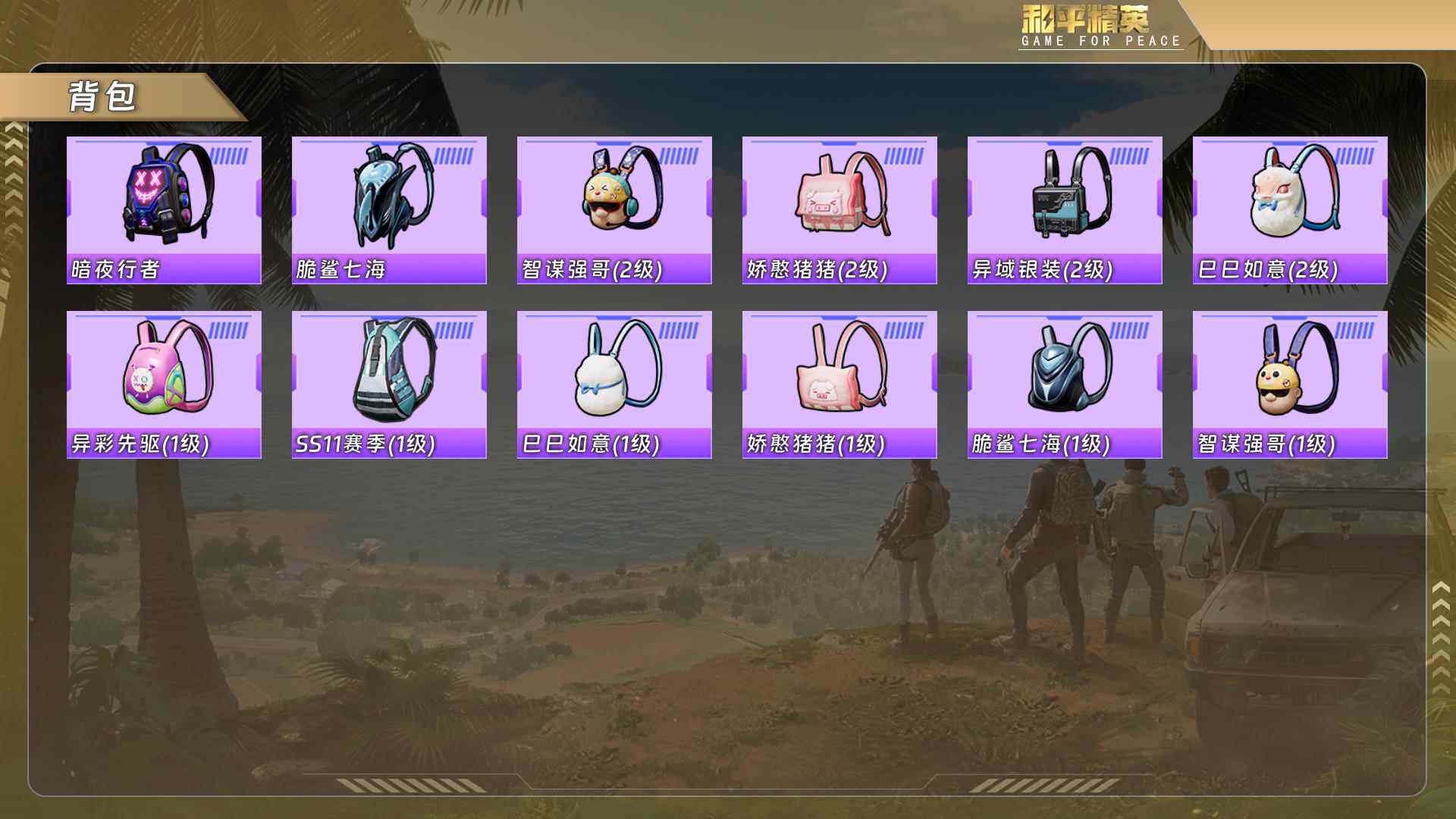 HPCMW478769和平精英账号详情图6