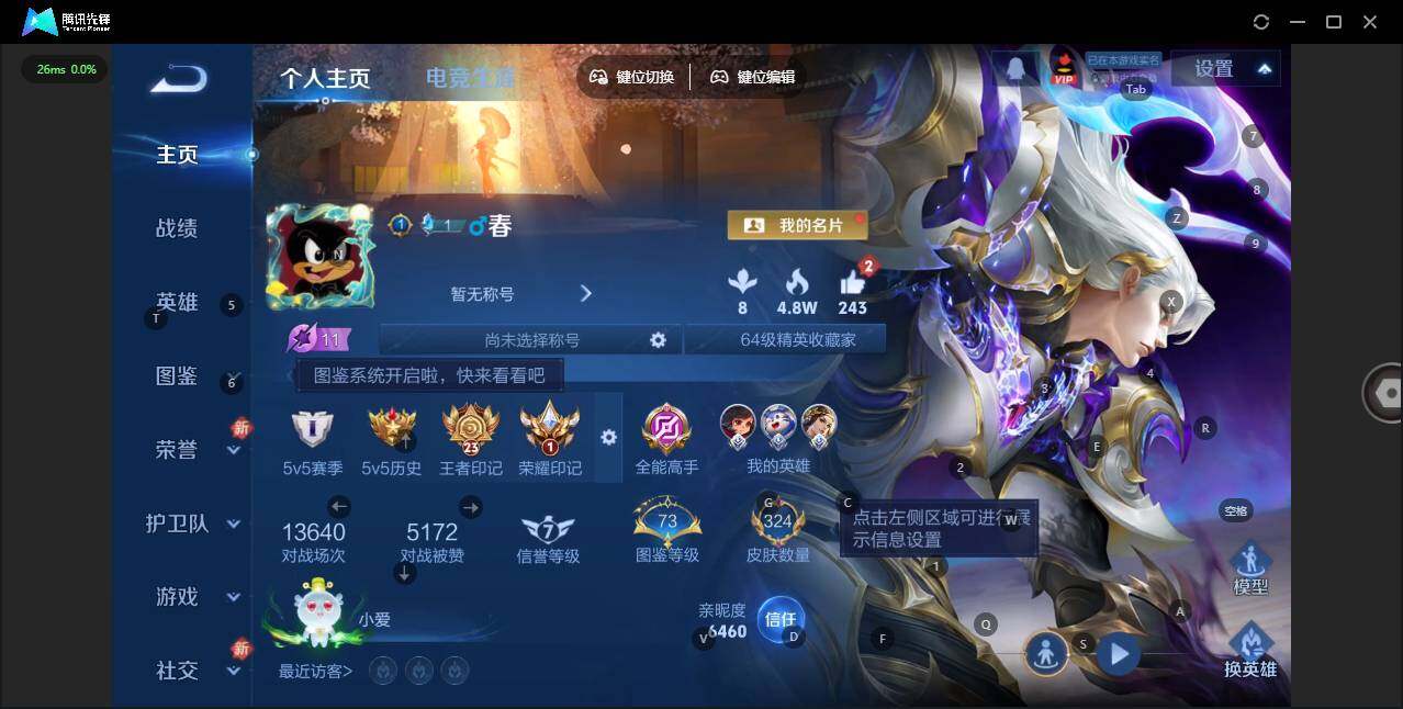 WZCMW463531王者荣耀账号详情图8