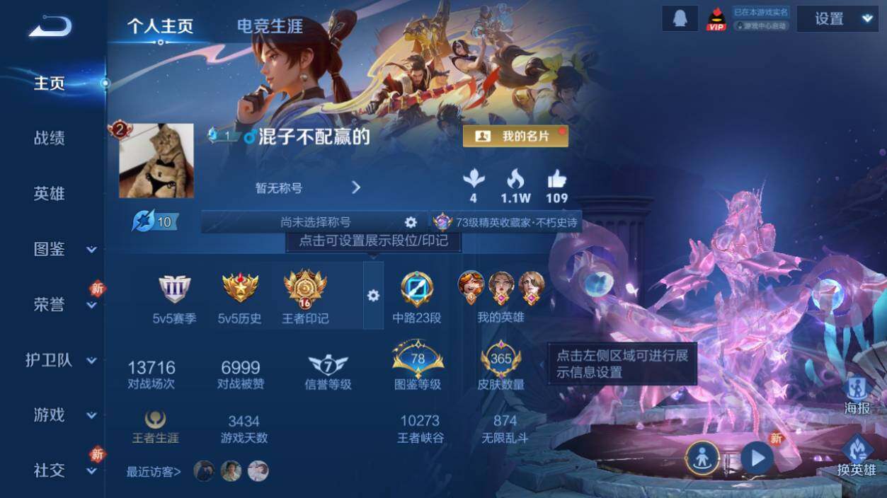 WZLX463678王者荣耀账号详情图8