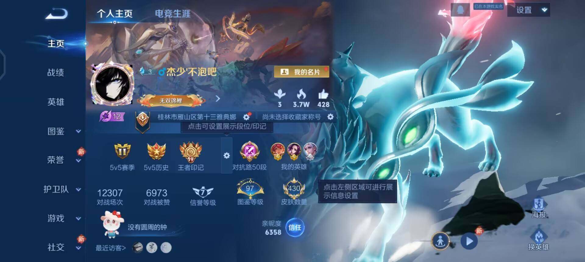 WZQM464354王者荣耀账号详情图3