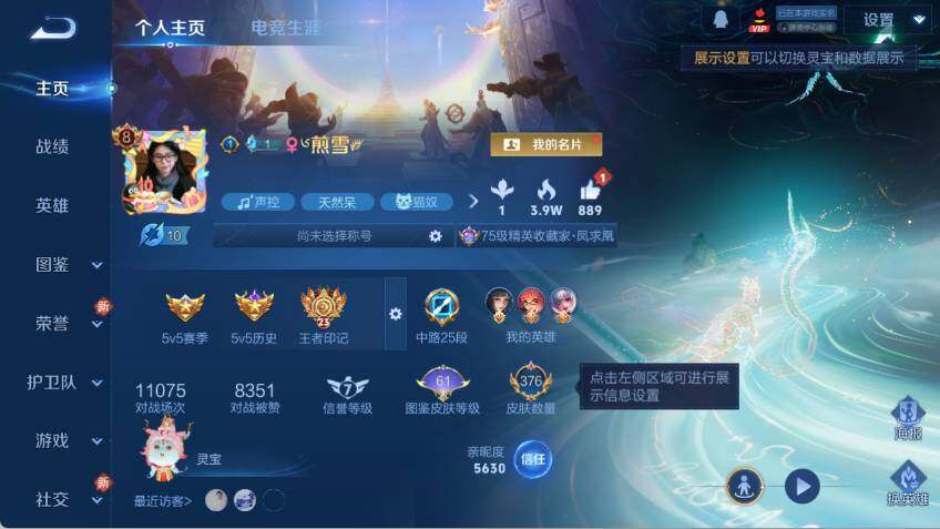 WZCMW464427王者荣耀账号详情图8