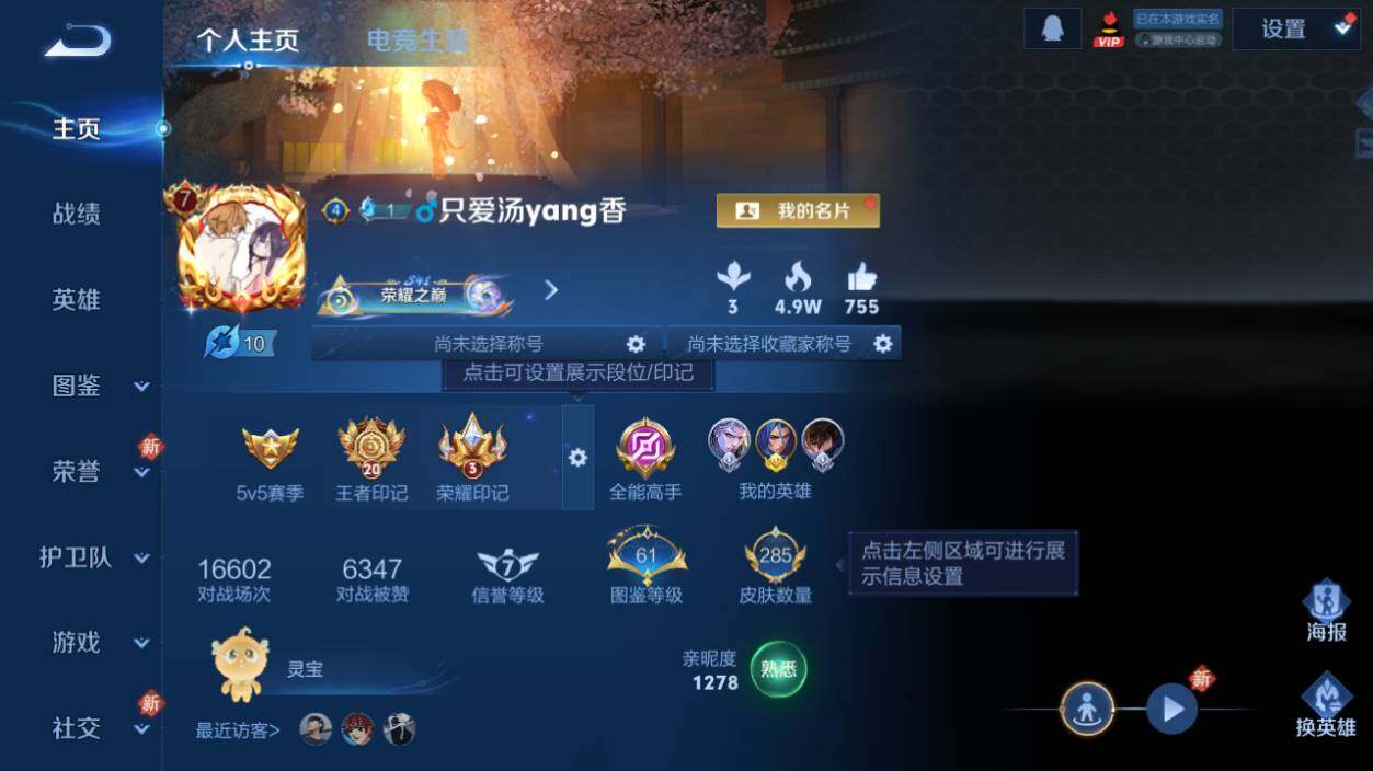 WZLX463336王者荣耀账号详情图7