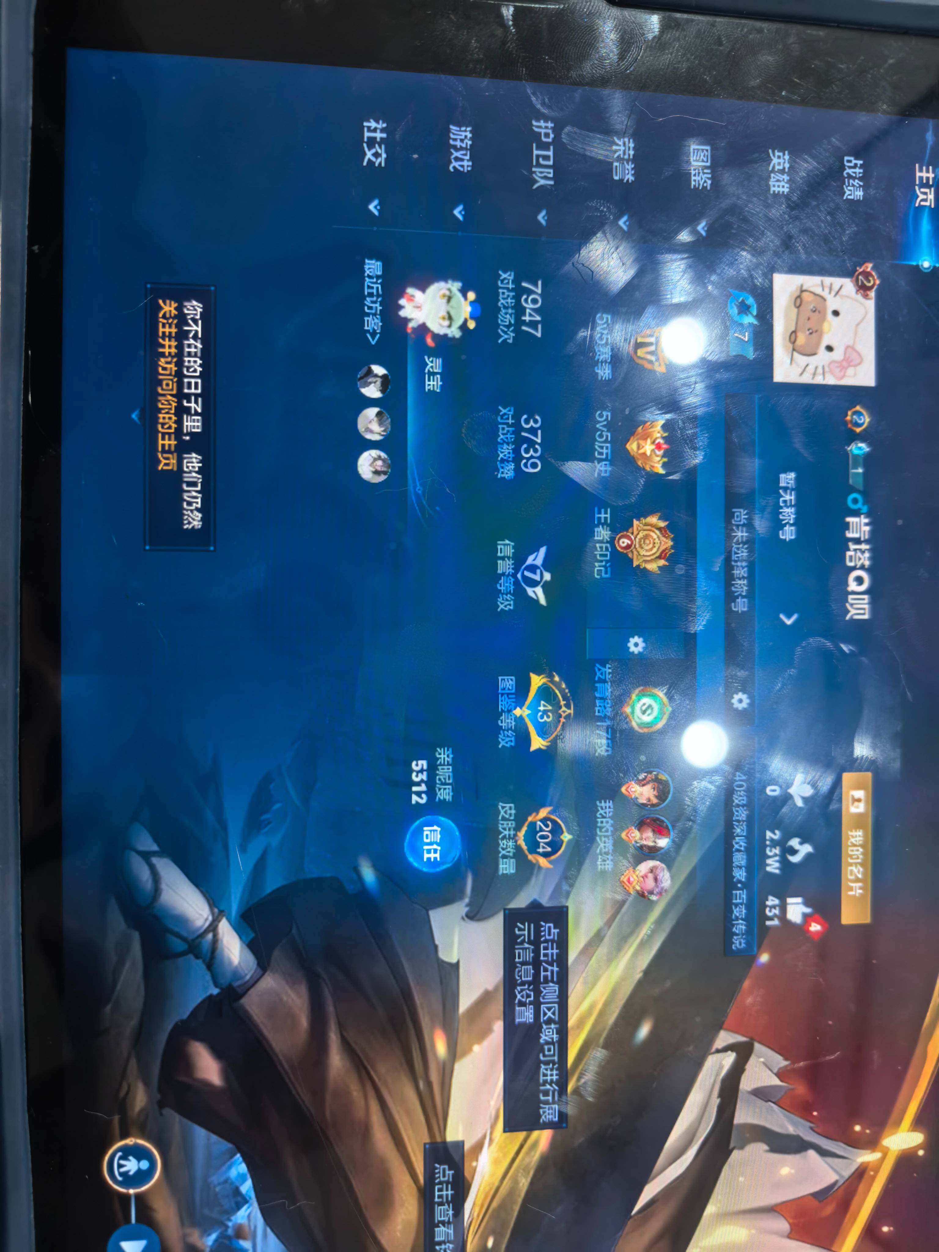 WZKG449395王者荣耀账号详情图9