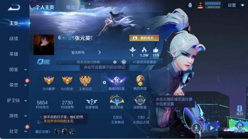 WZLX463672王者荣耀账号详情图6