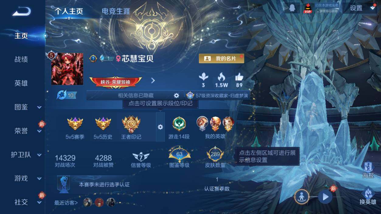 WZLX463628王者荣耀账号详情图7