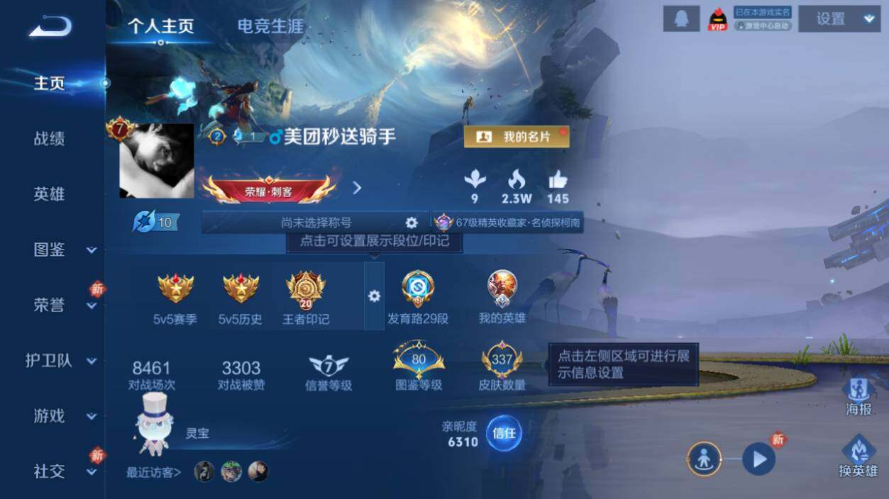 WZLX464031王者荣耀账号详情图8