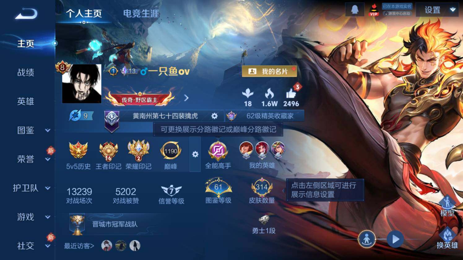 WZ03455138王者荣耀账号详情图9