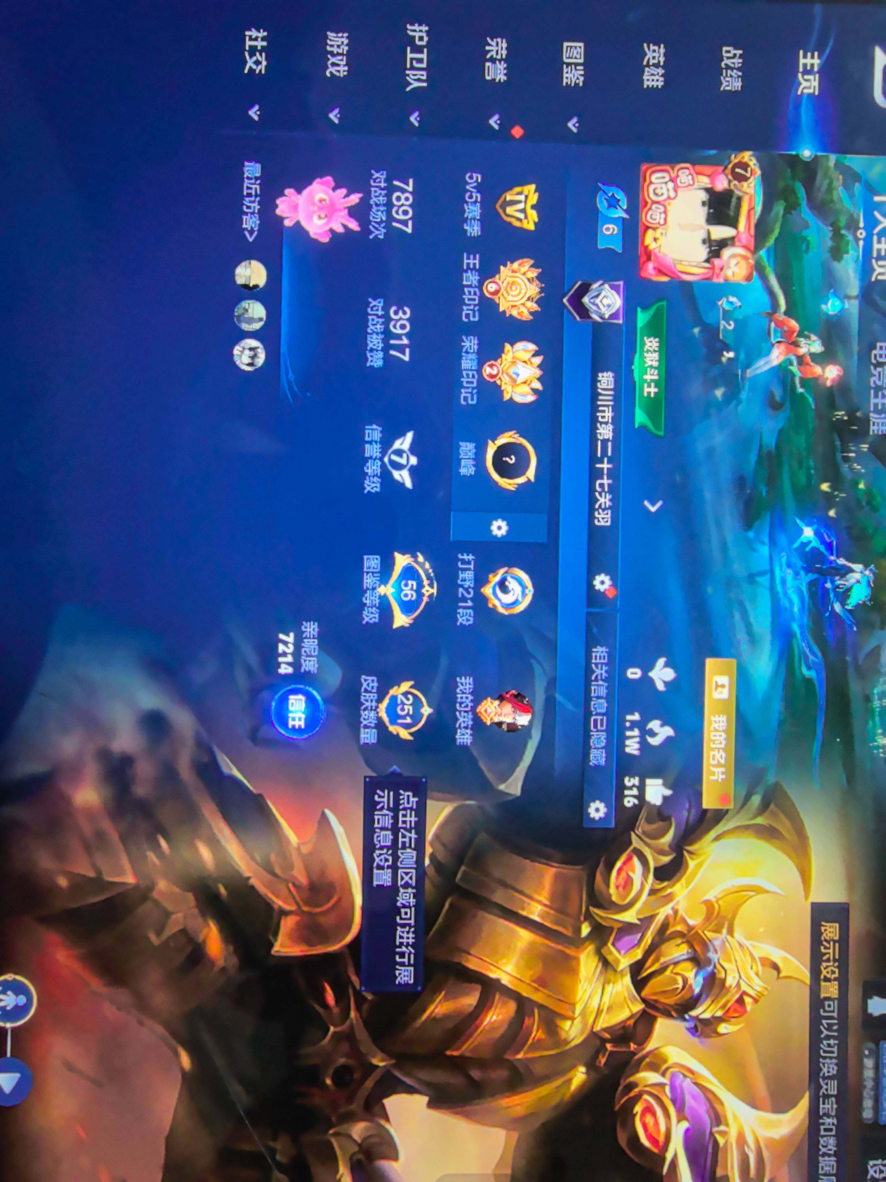 WZKG491524王者荣耀账号详情图9